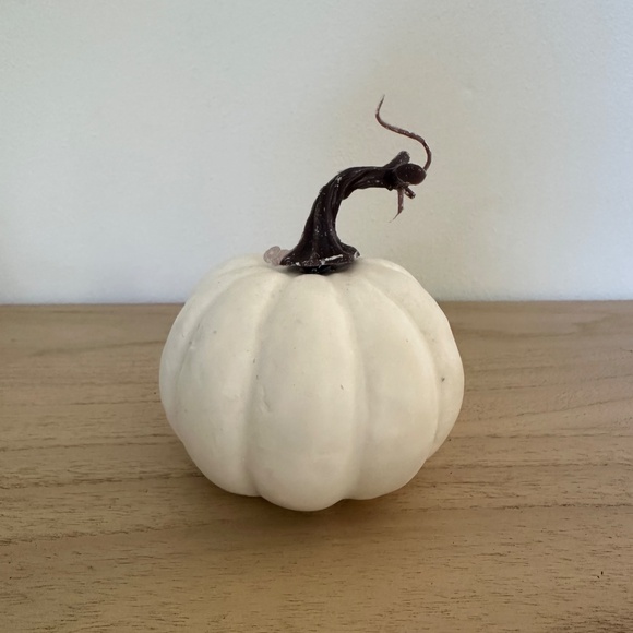Pumpkins artificial Black and White various sizes Halloween decor autumn decor - Picture 4 of 6